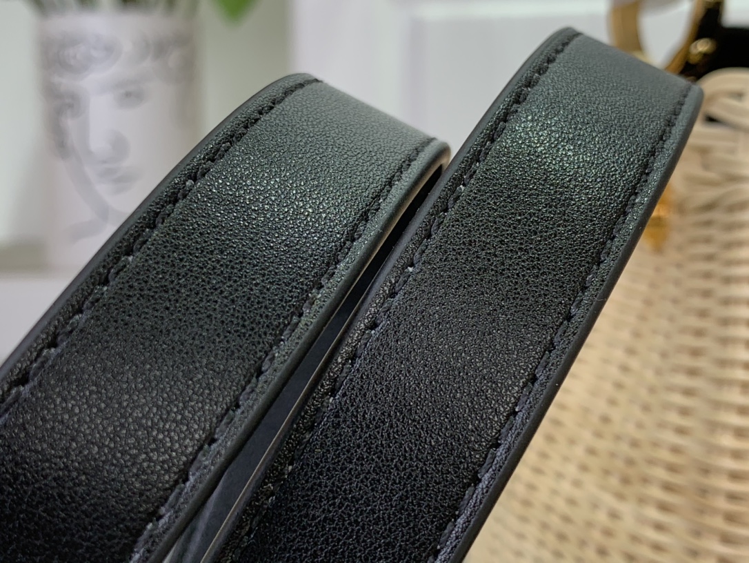 LV CAPUCINES BB Handbag