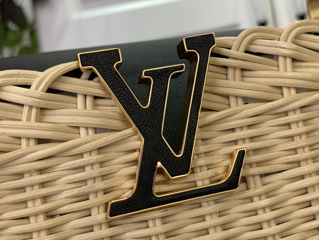 LV CAPUCINES BB Handbag