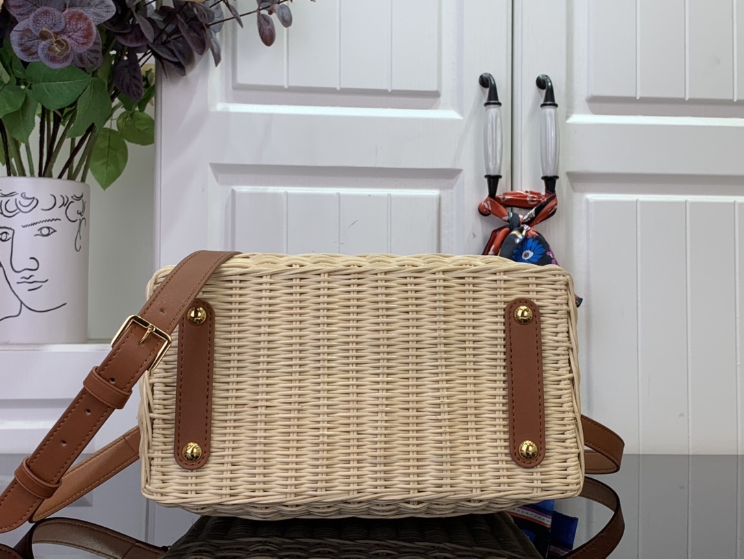 LV CAPUCINES BB Handbag