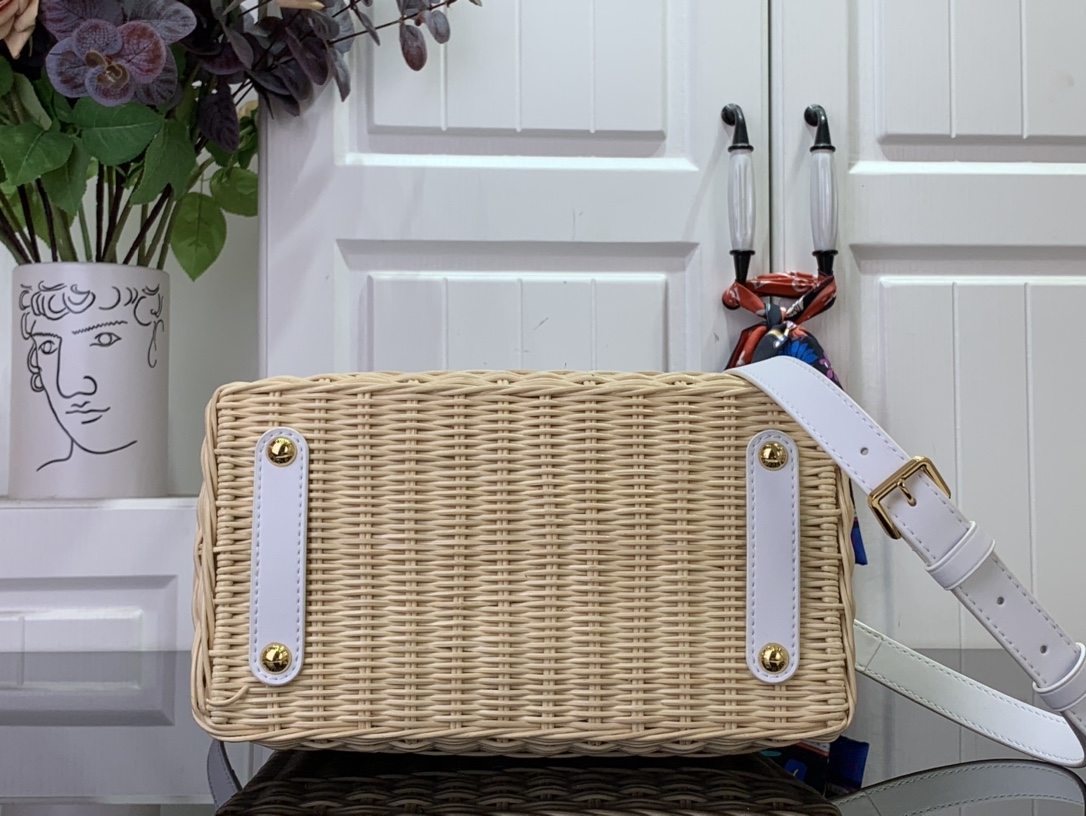 LV CAPUCINES BB Handbag