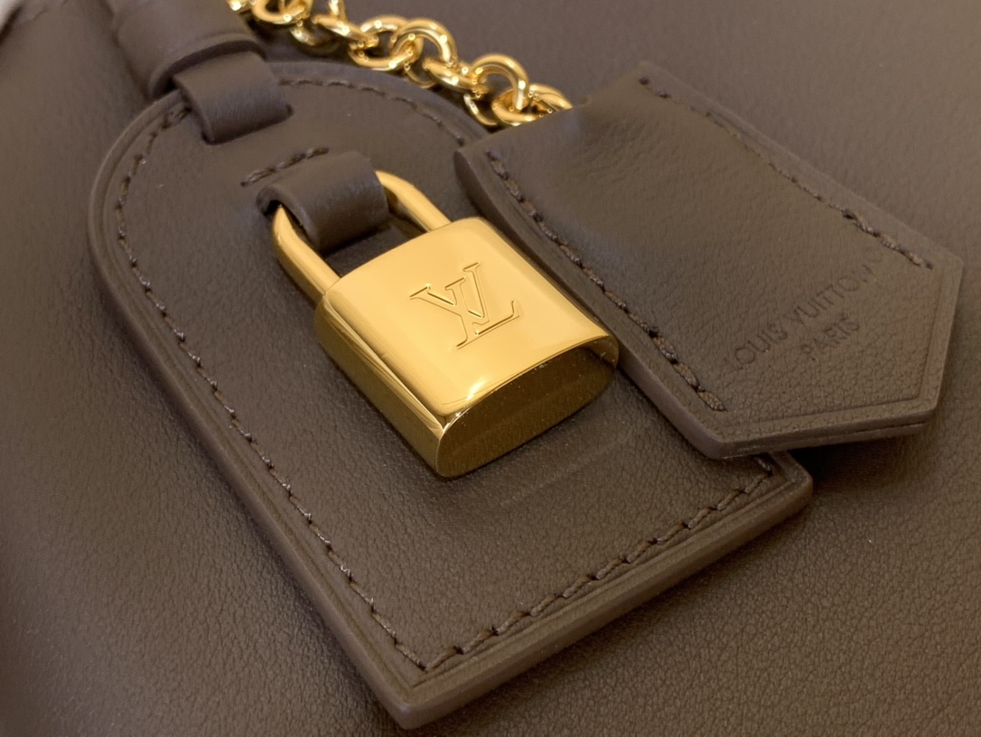 LV CAPUCINES SOUPLE Medium Handbag