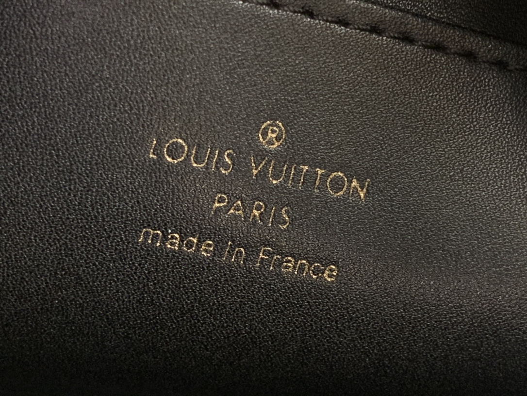 LV CAPUCINES SOUPLE Medium Handbag