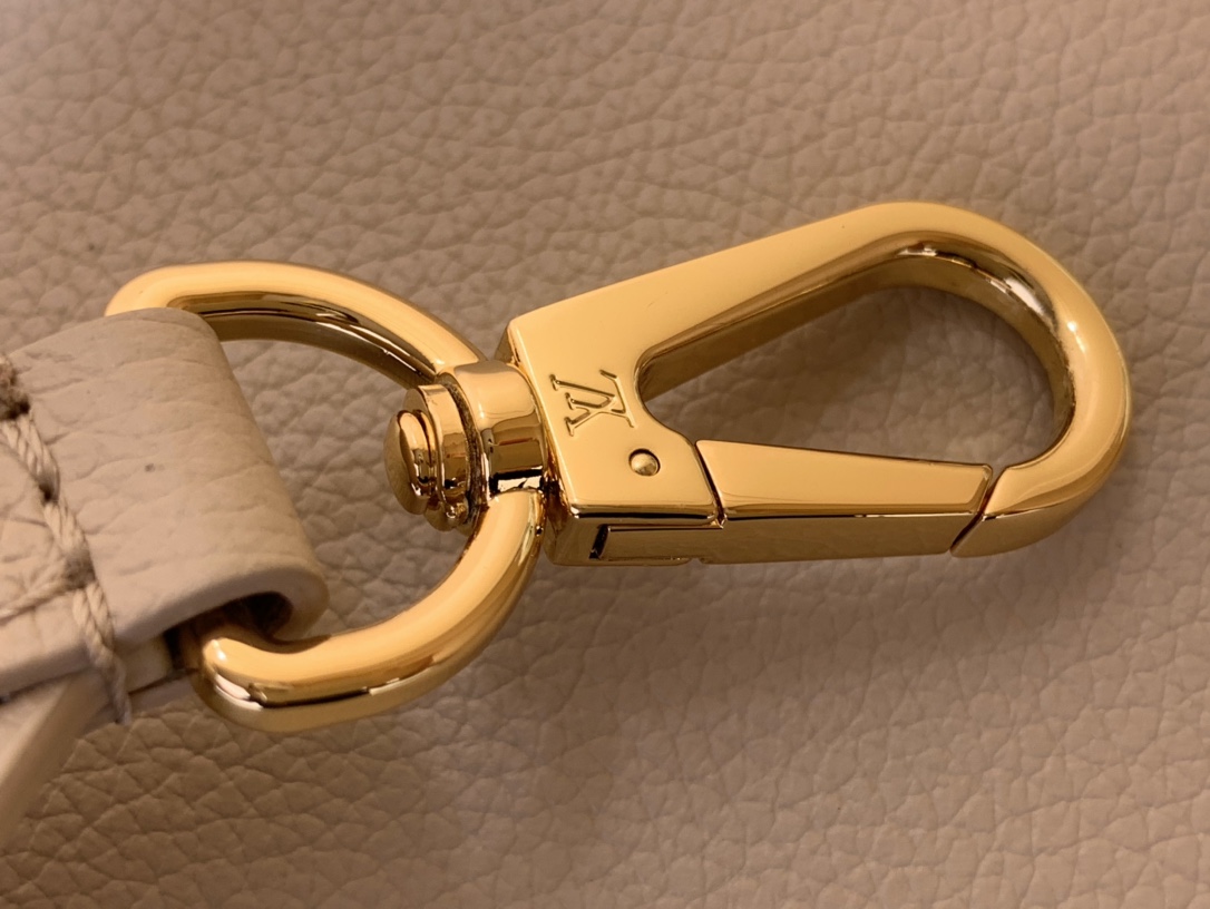 LV CAPUCINES SOUPLE Medium Handbag