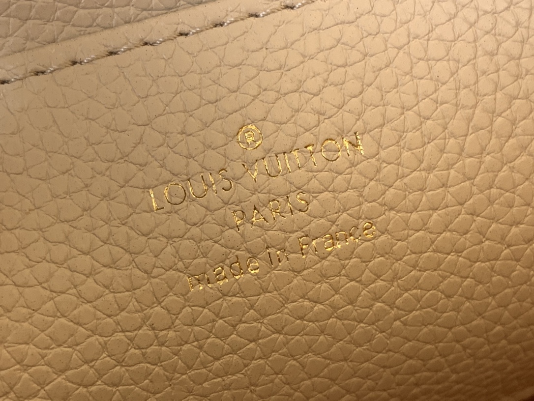 LV CAPUCINES SOUPLE Medium Handbag