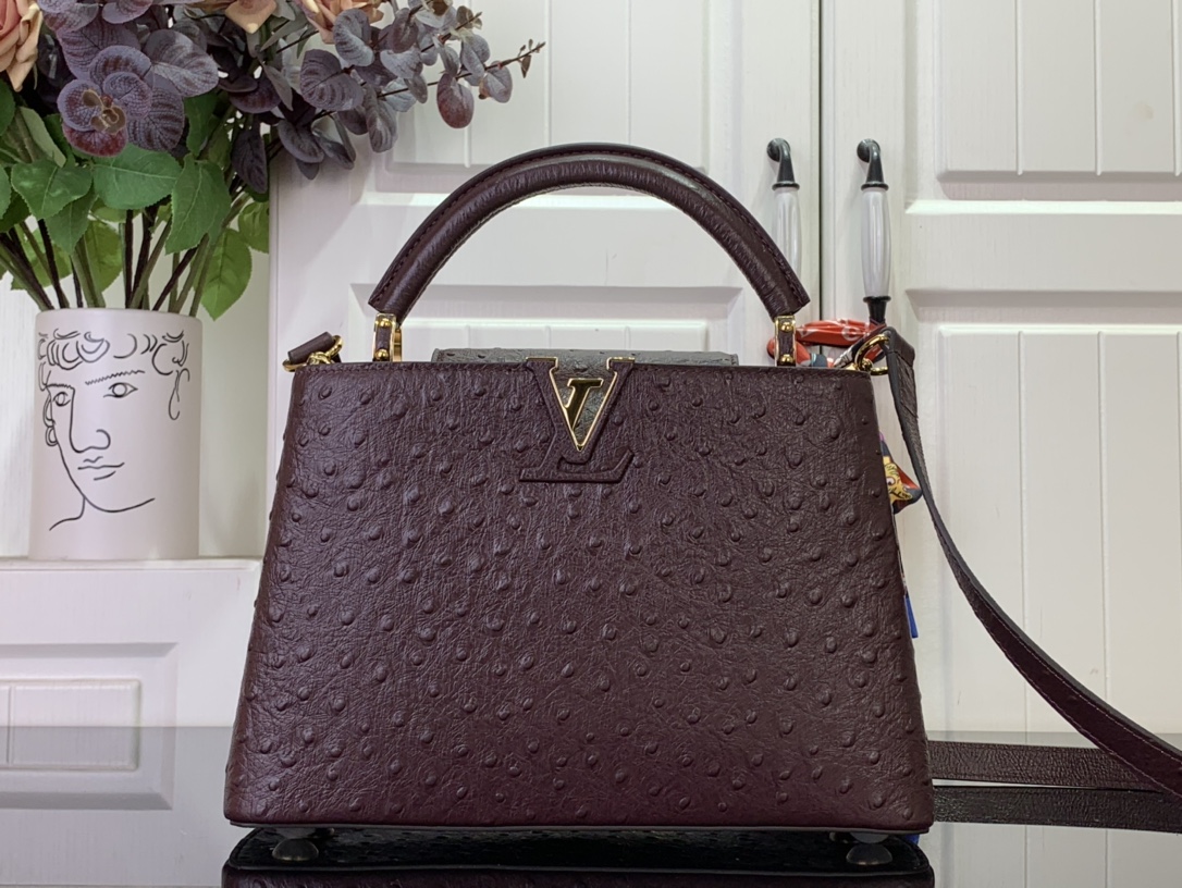 LV Capucines Small Handbag