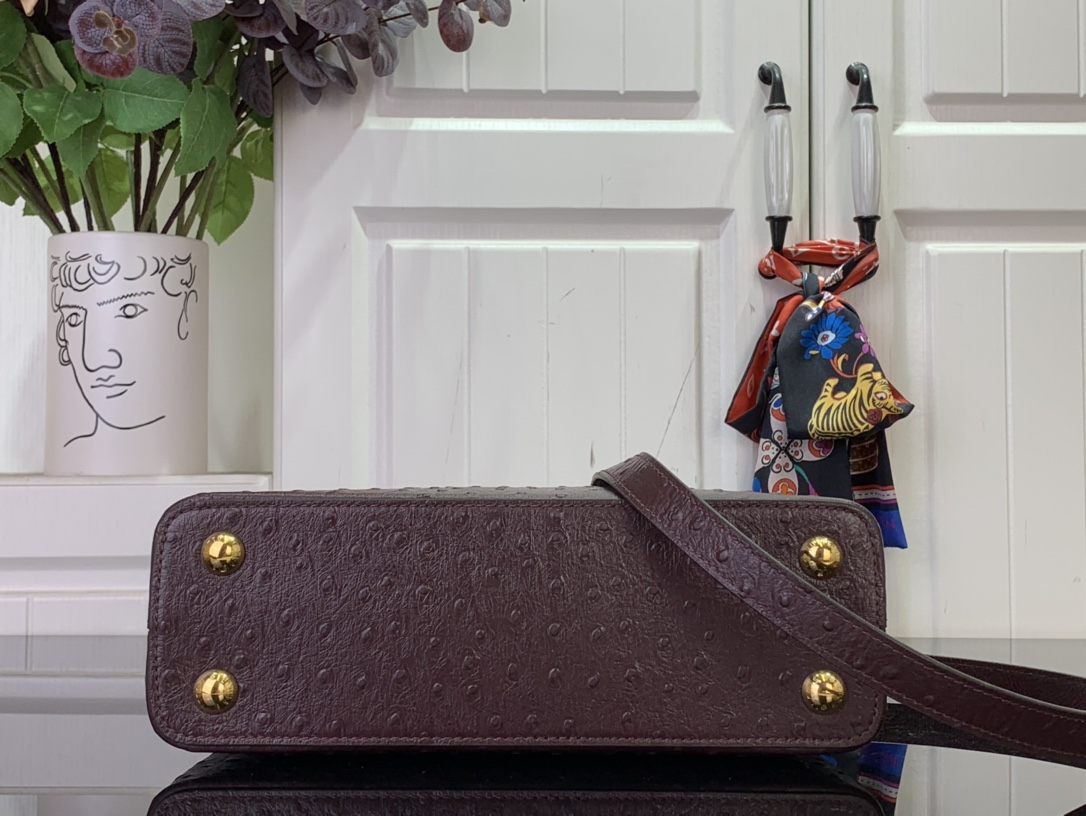 LV Capucines Small Handbag