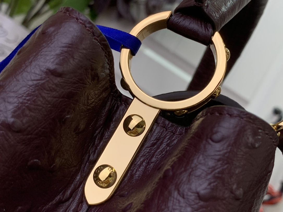 LV Capucines Small Handbag