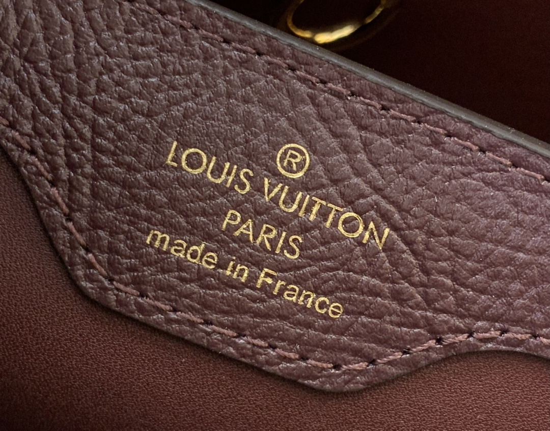 LV Capucines Small Handbag