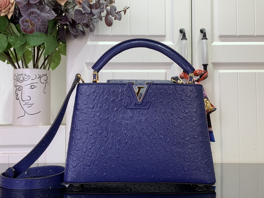 LV Capucines Small Handbag