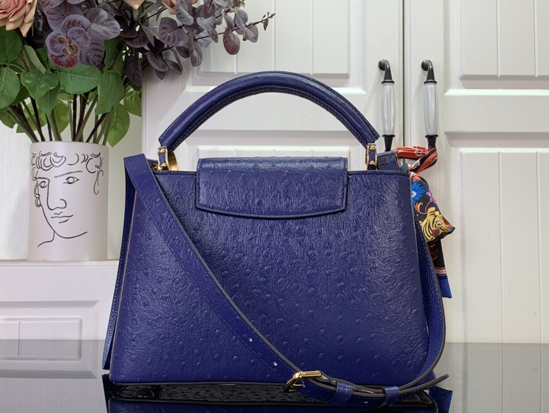 LV Capucines Small Handbag