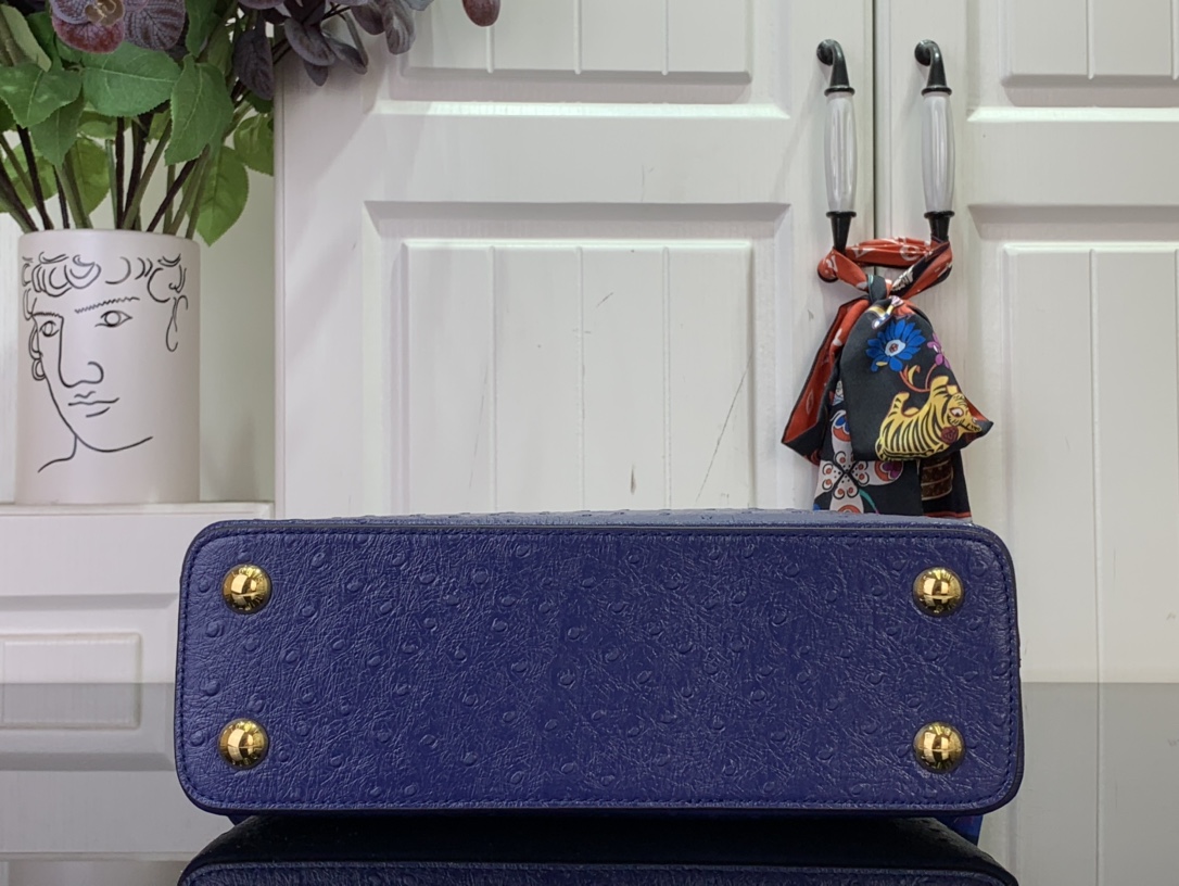 LV Capucines Small Handbag