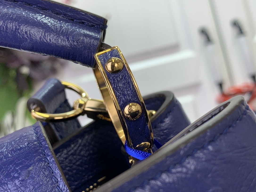 LV Capucines Small Handbag