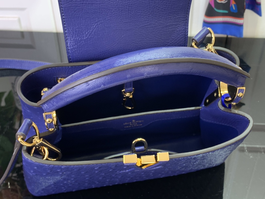 LV Capucines Small Handbag