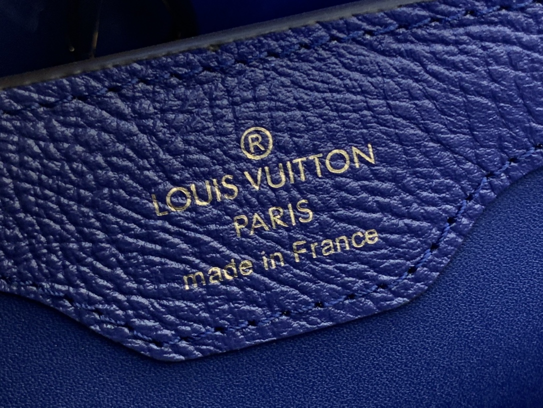 LV Capucines Small Handbag