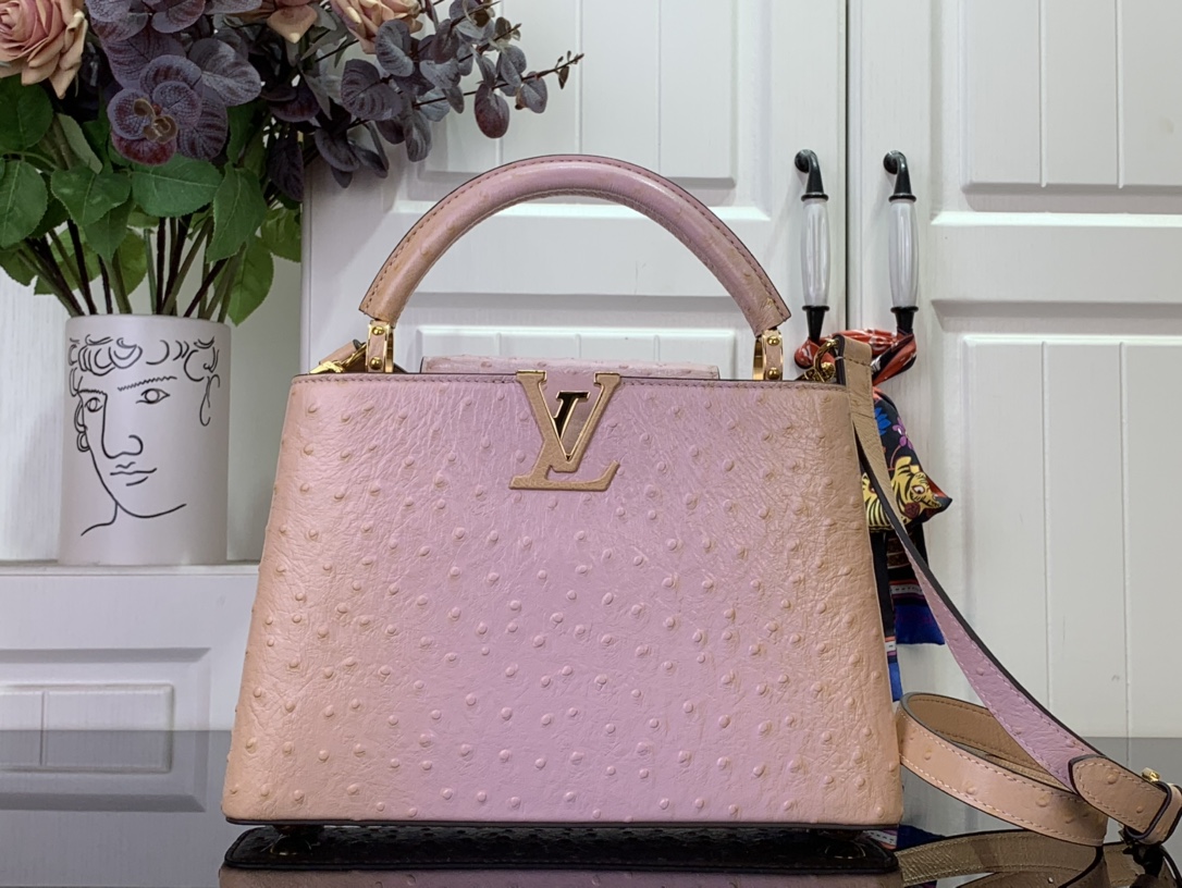 LV Capucines Small Handbag