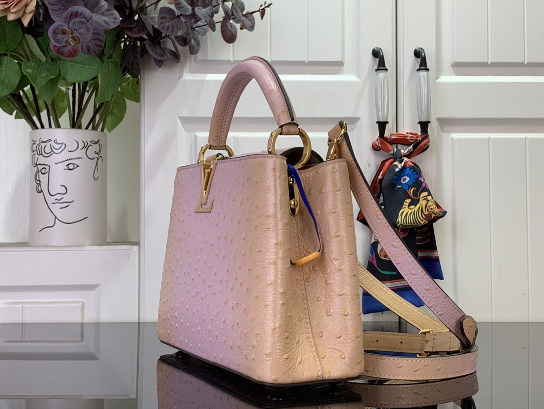 LV Capucines Small Handbag