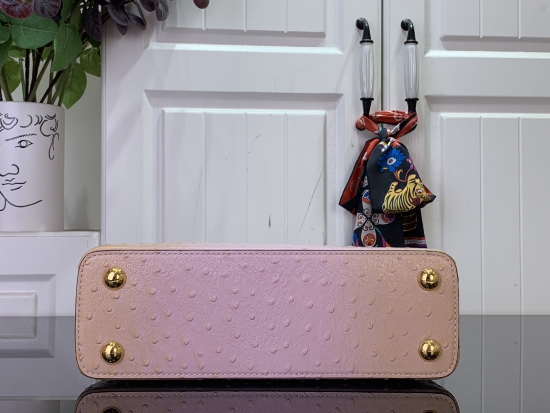 LV Capucines Small Handbag