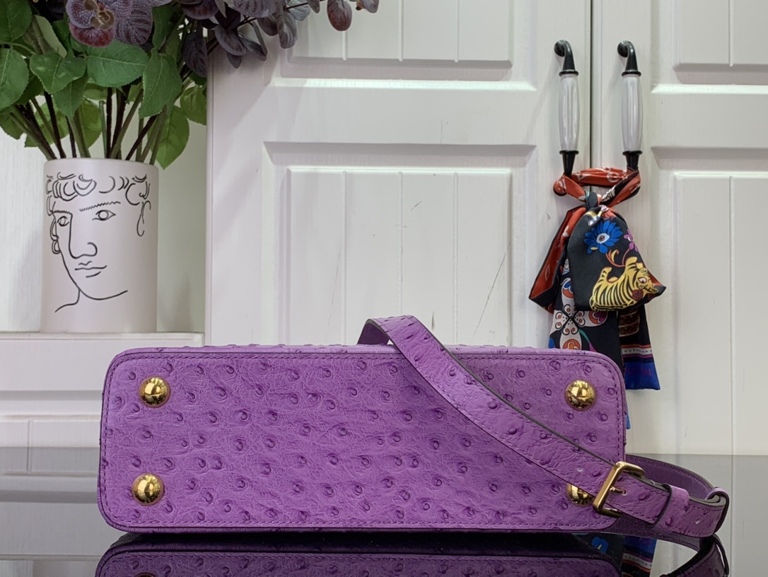 LV Capucines Small Handbag