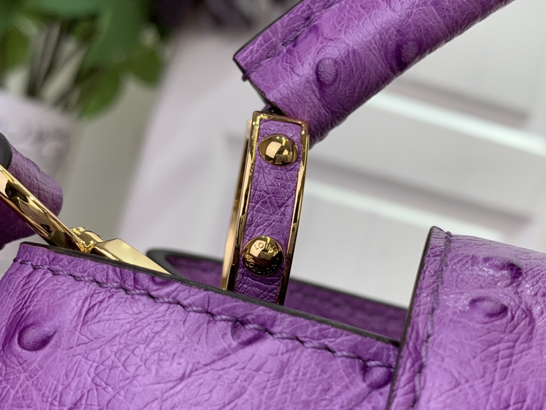 LV Capucines Small Handbag