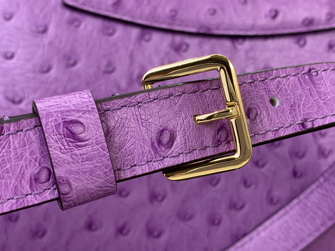 LV Capucines Small Handbag