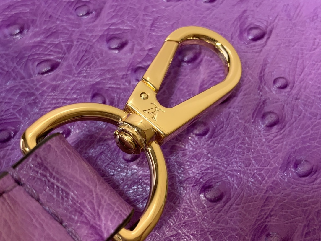 LV Capucines Small Handbag