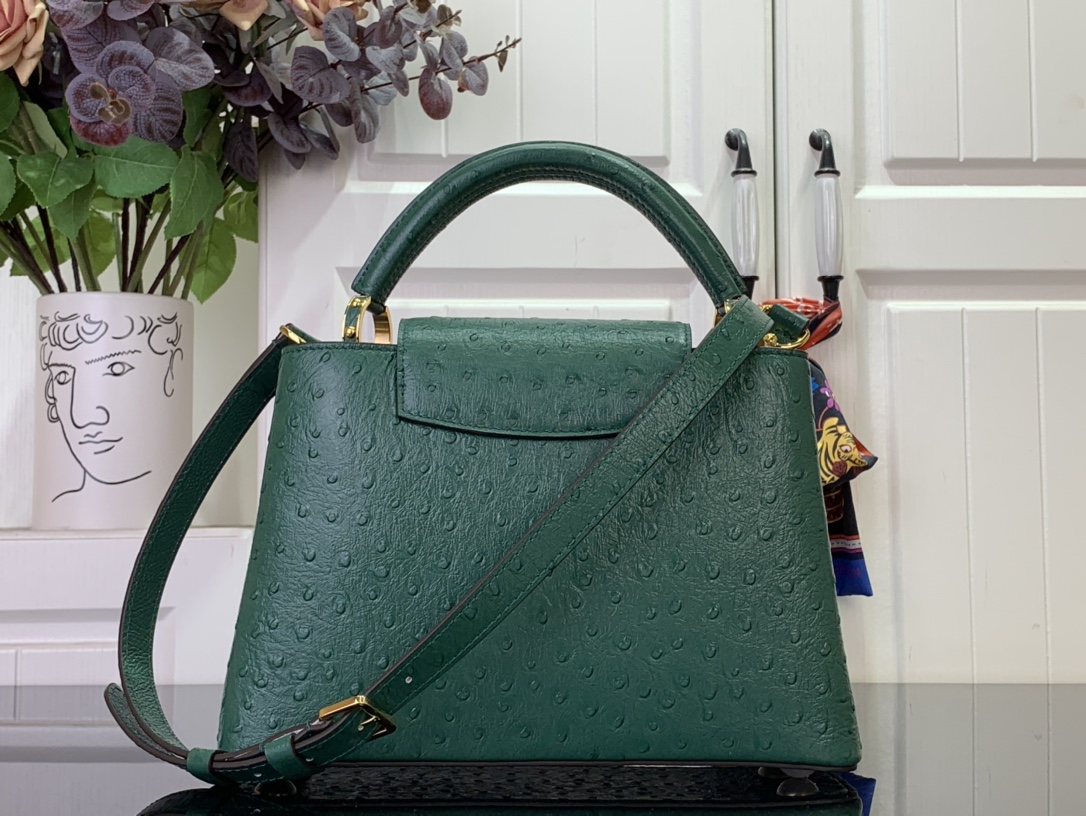 LV Capucines Small Handbag