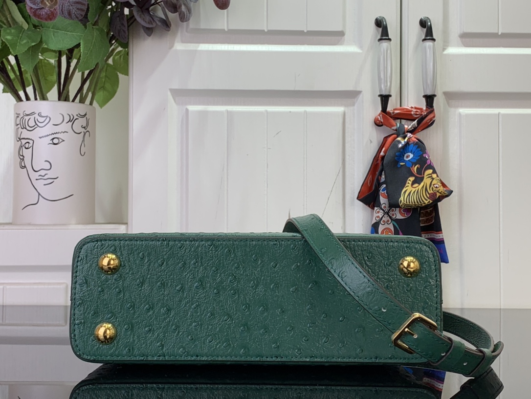 LV Capucines Small Handbag