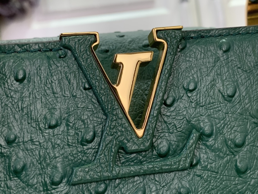 LV Capucines Small Handbag