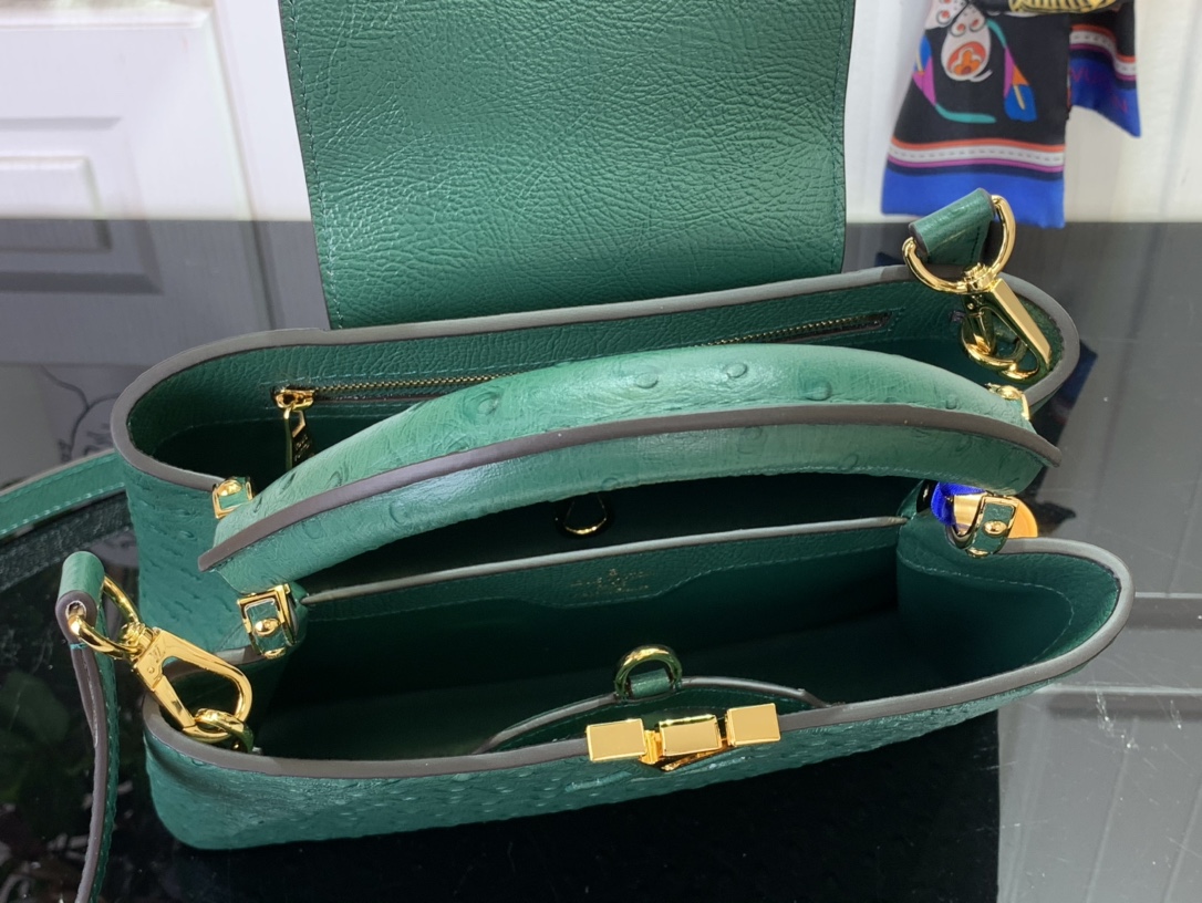 LV Capucines Small Handbag