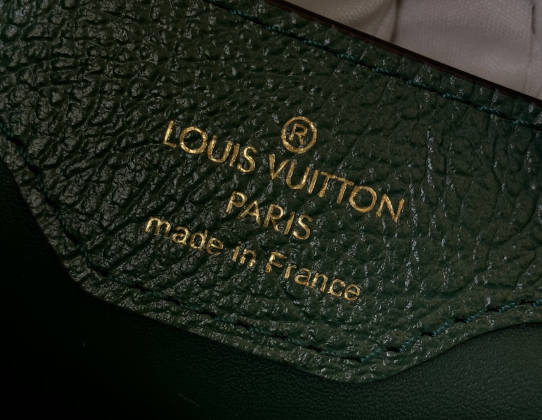 LV Capucines Small Handbag