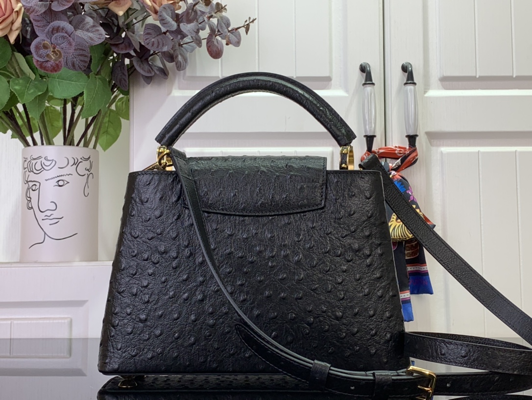LV Capucines Small Handbag