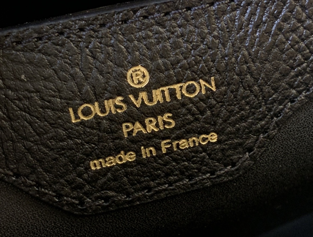 LV Capucines Small Handbag