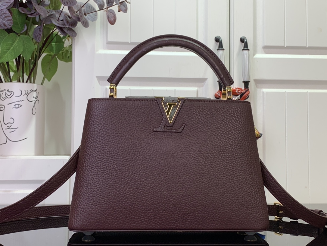 LV Capucines Small Handbag