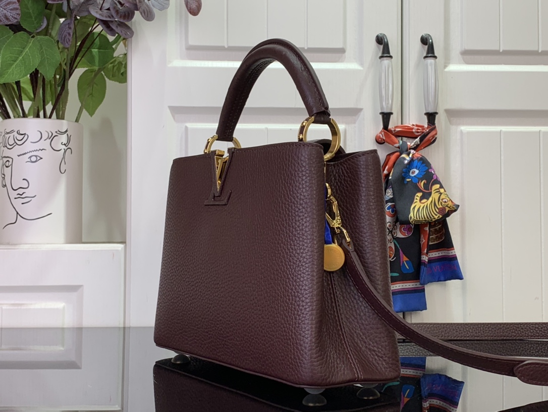 LV Capucines Small Handbag