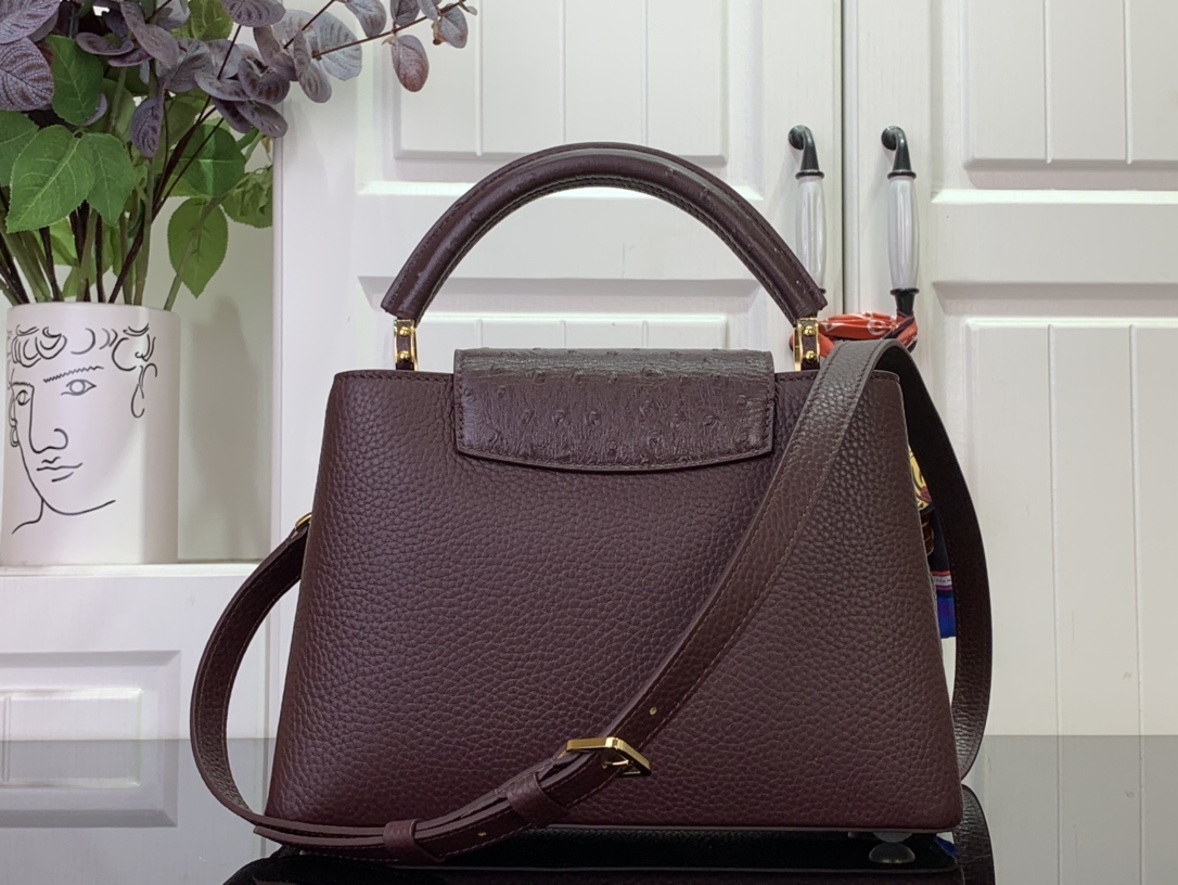 LV Capucines Small Handbag