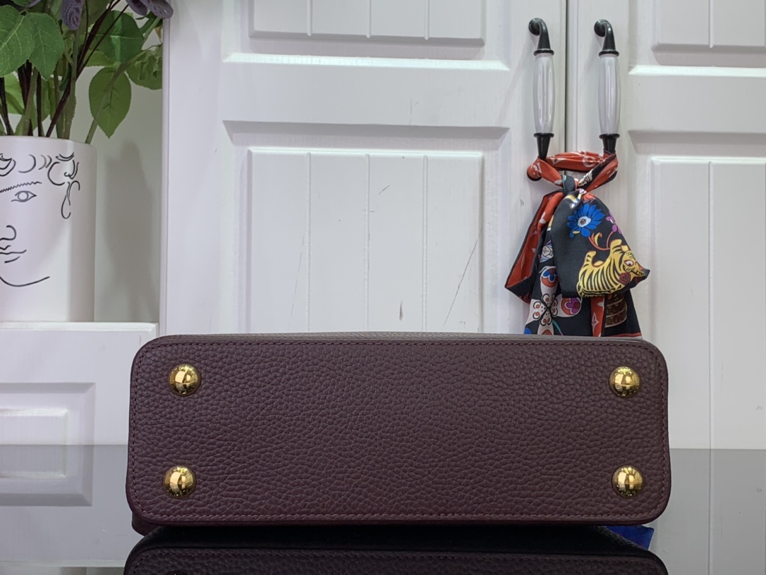 LV Capucines Small Handbag