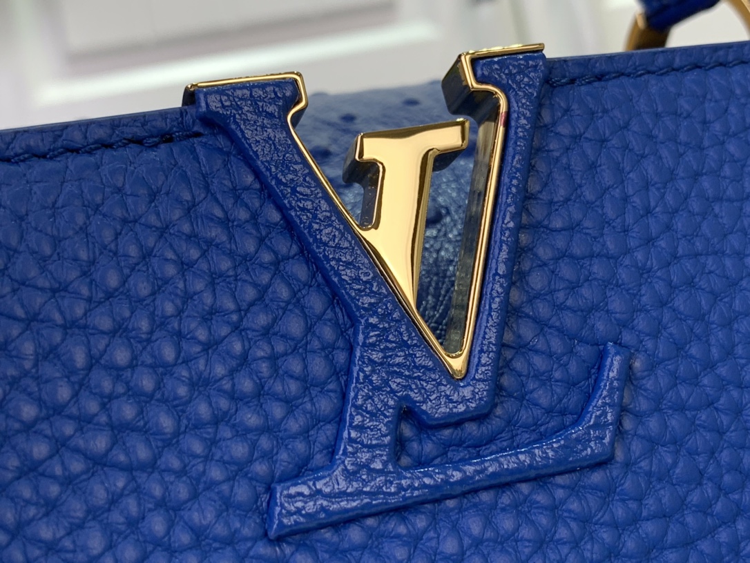 LV Capucines Small Handbag