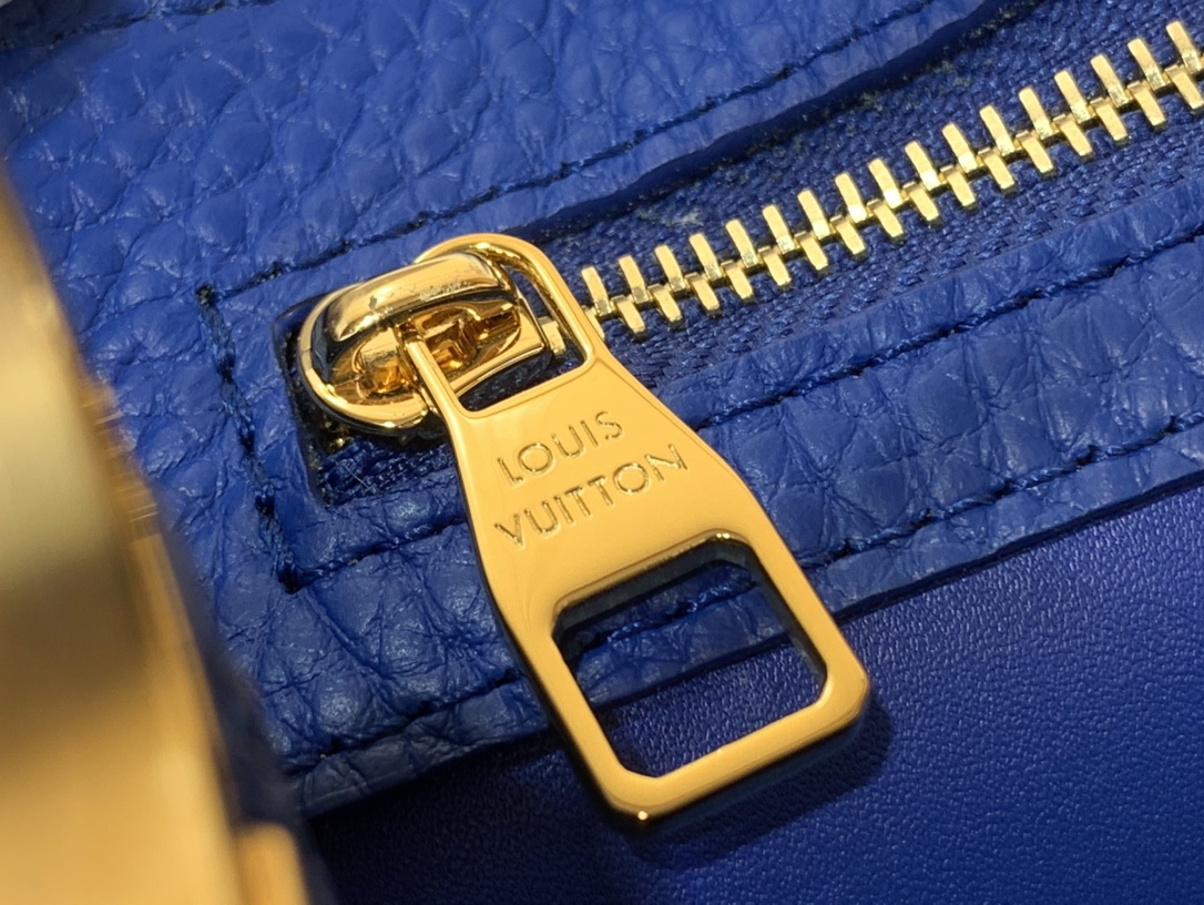 LV Capucines Small Handbag