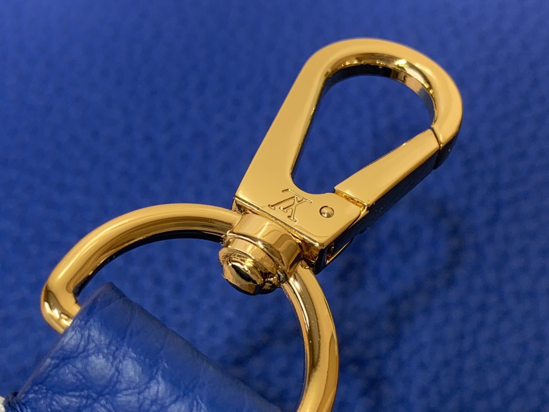 LV Capucines Small Handbag