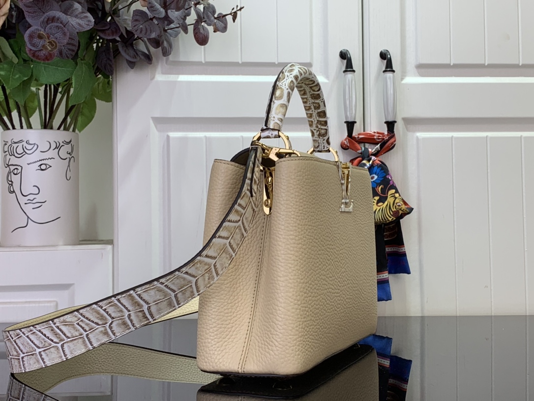 LV Capucines Small Handbag