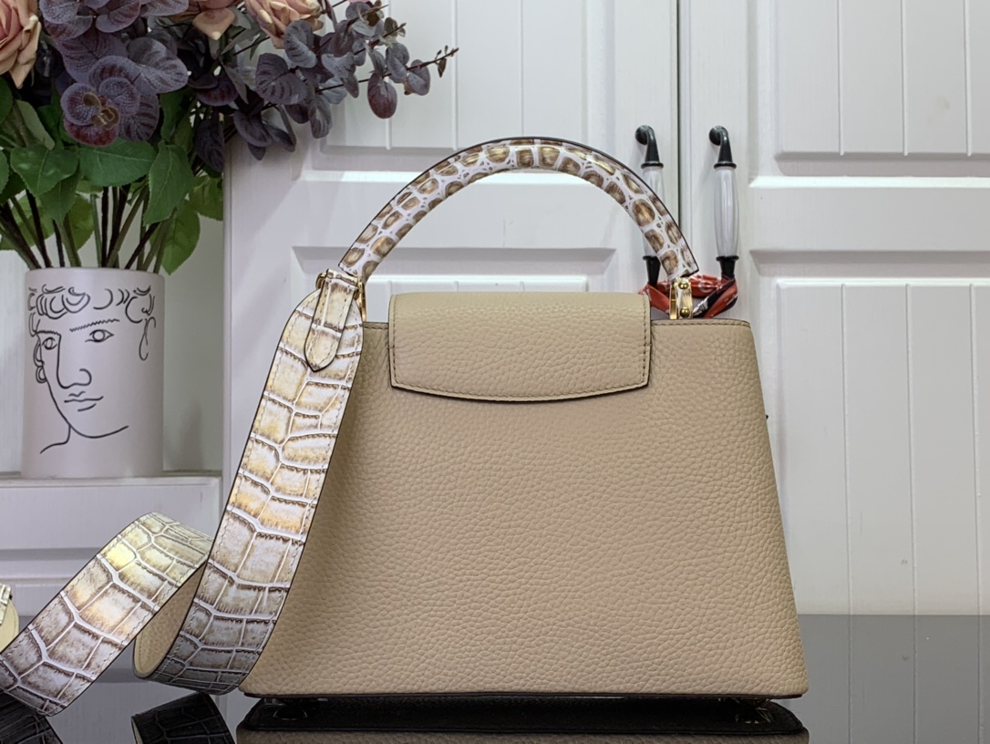 LV Capucines Small Handbag