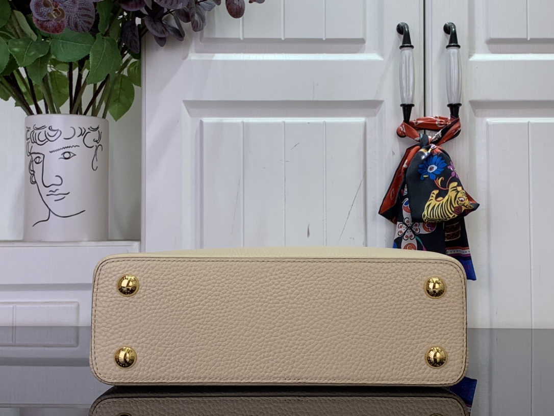 LV Capucines Small Handbag