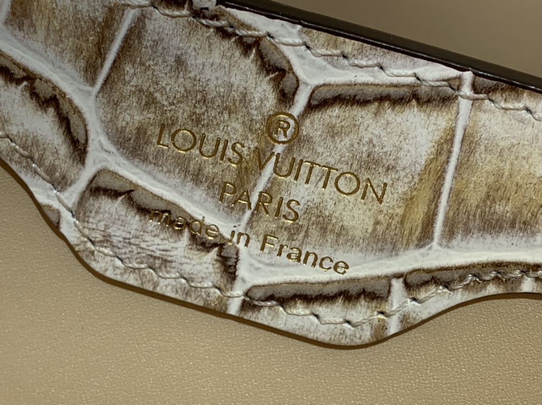 LV Capucines Small Handbag