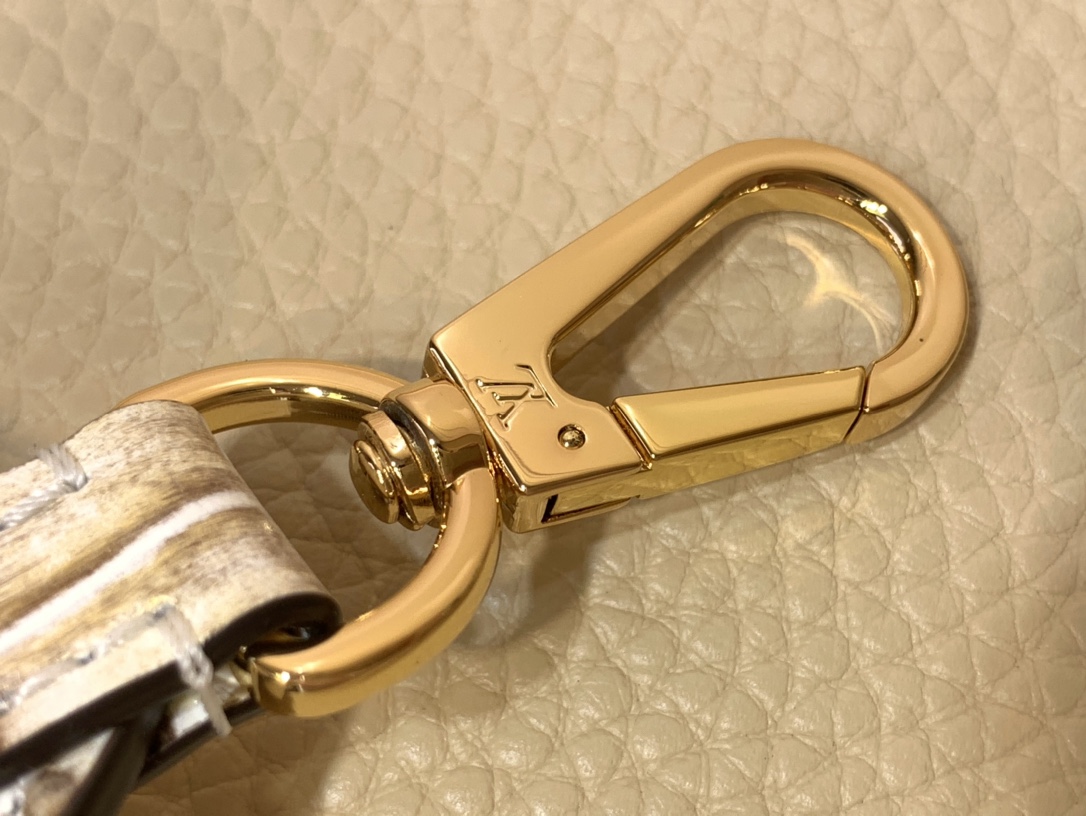 LV Capucines Small Handbag