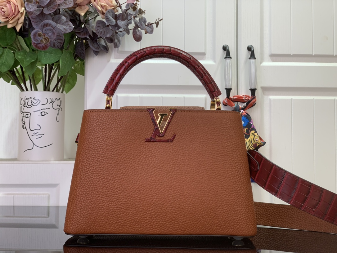 LV Capucines Small Handbag