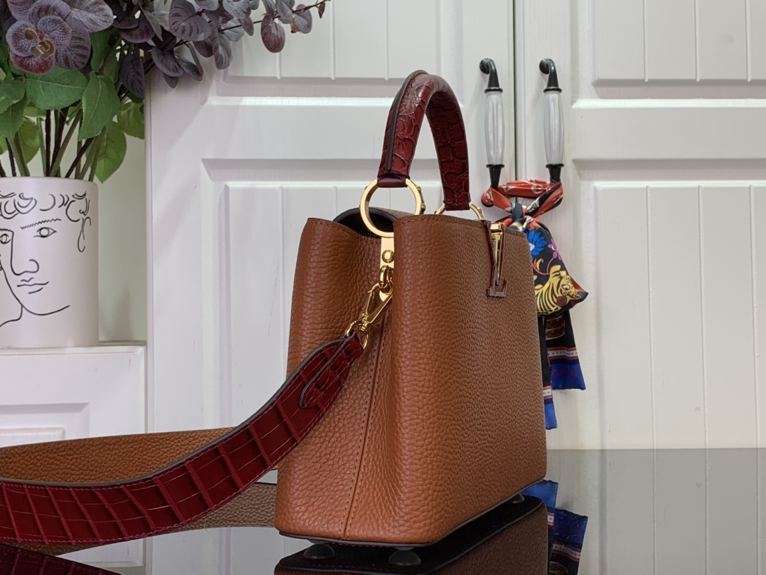 LV Capucines Small Handbag