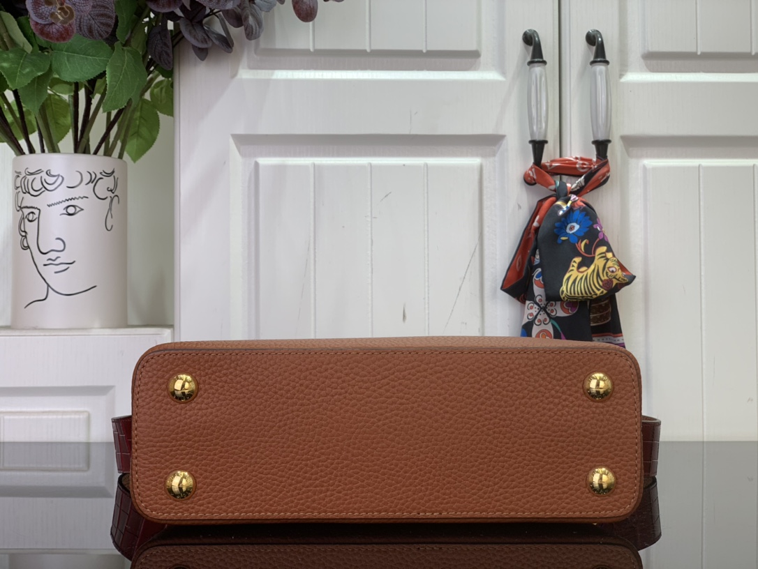 LV Capucines Small Handbag