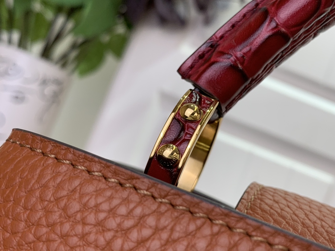 LV Capucines Small Handbag