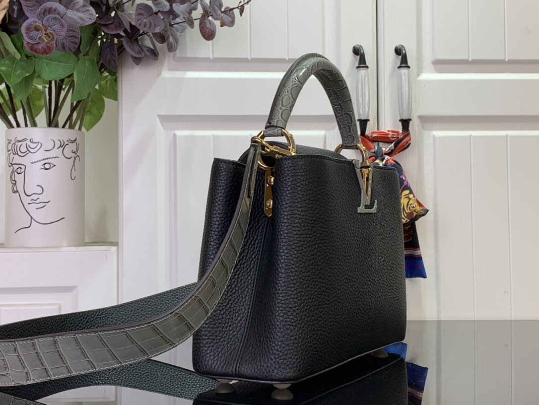 LV Capucines Small Handbag