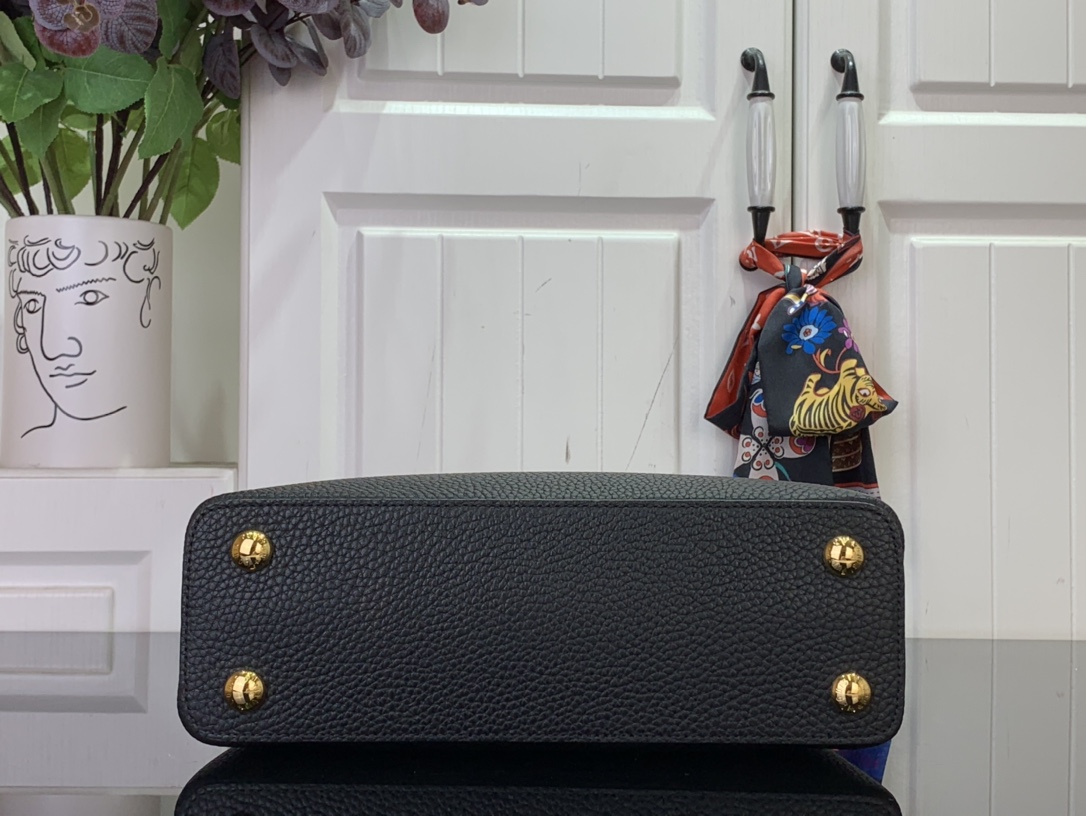 LV Capucines Small Handbag